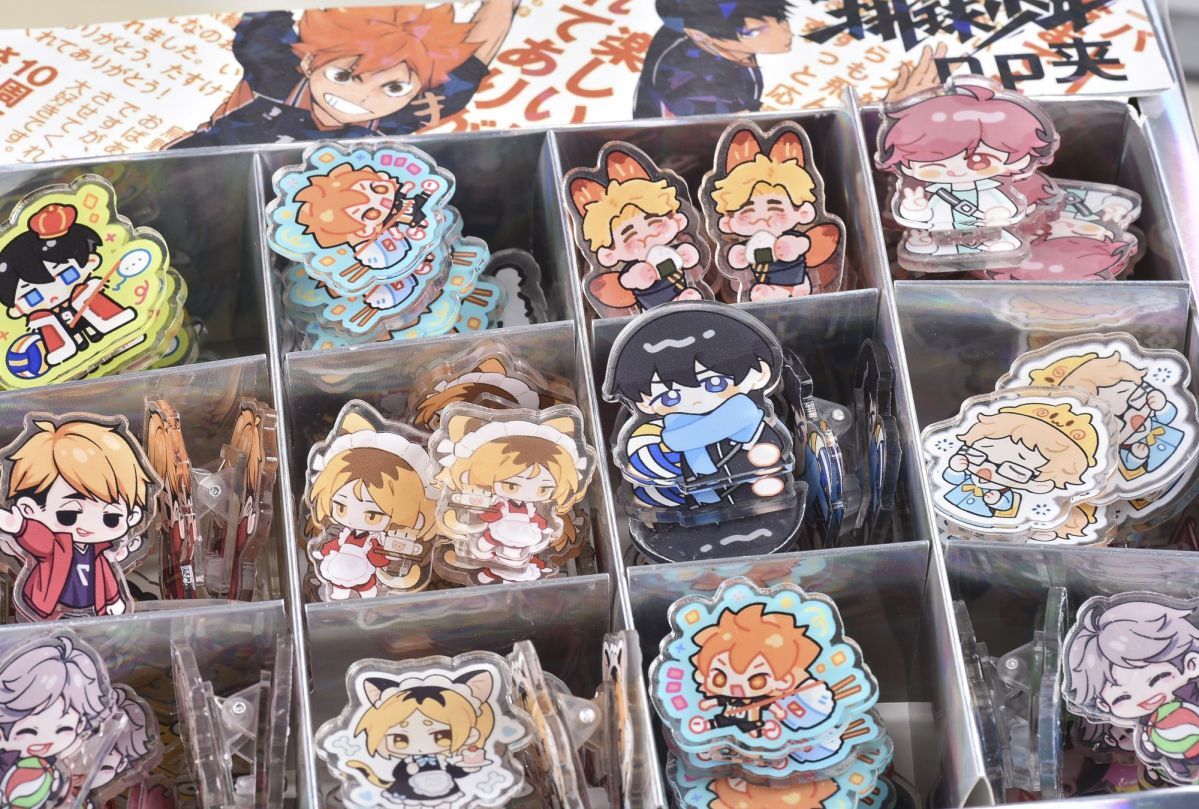 Haikyuu!! PP Clip Merchandise  - Photography Portfolio recension och pris