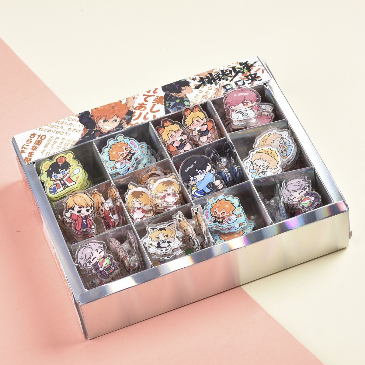 Haikyuu!! PP Clip Merchandise  - Photography Portfolio recension och pris