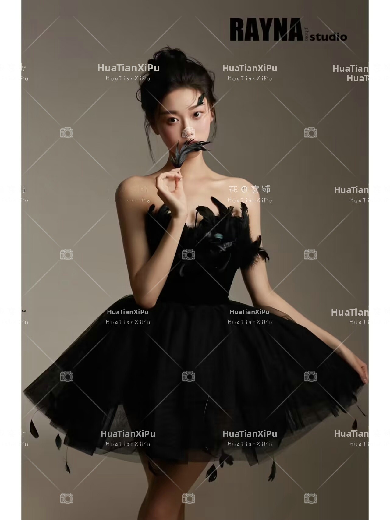 New Arrival Elegant Black Swan - Photography Studio recension och pris